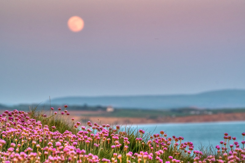 z3061 Moonrise over Compton Bay - Freshwater Bay to Colwell Bay inc the Needles