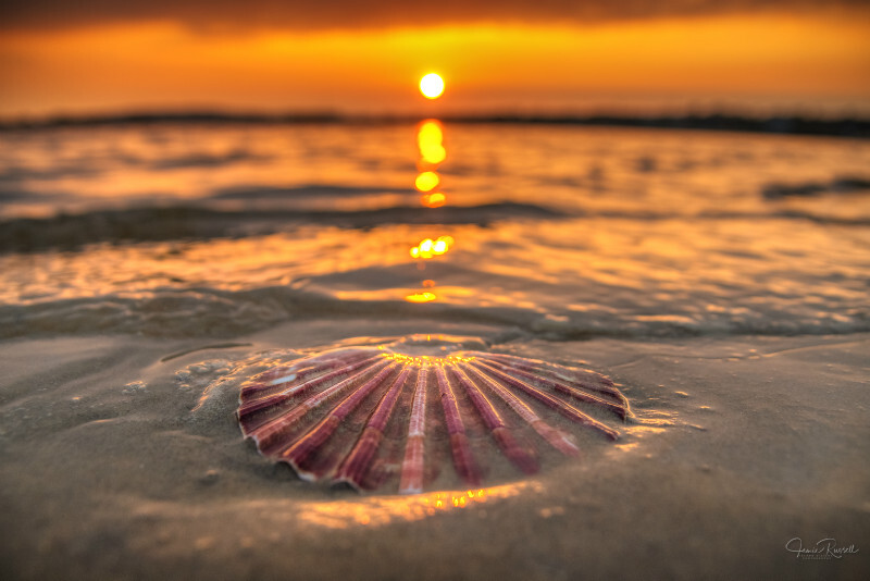 z3506 Sunset, Bembridge Beach - Seaview to Bembridge, Whitecliff Bay and Brading