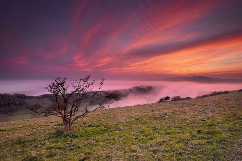 z2677 Culver Mist at Sunset - Sandown, Shanklin, Luccombe and Wroxall