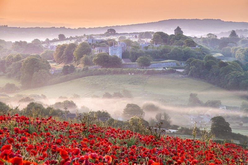 z4391 Misty Poppies and Carisbrooke Castle - Latest images