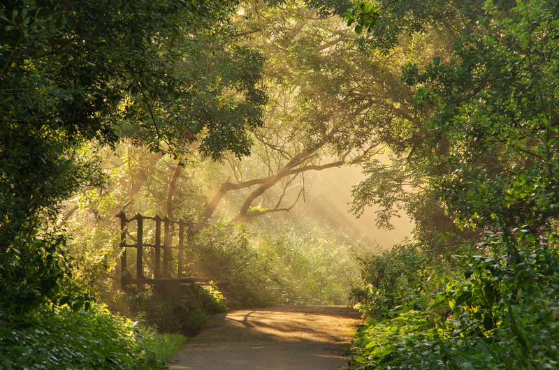 z2109 Summer Mist, Alverstone - The Inner Island inc Newport & Godshill