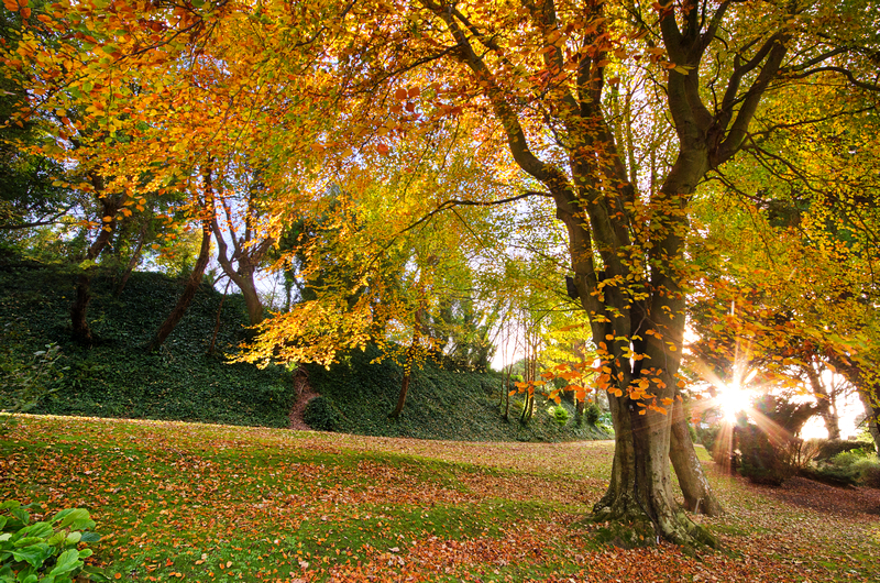 z2148 Autumn Evening, Ventnor - Ventnor to St Catherine's inc Bonchurch, Whitwell & the Undercliff