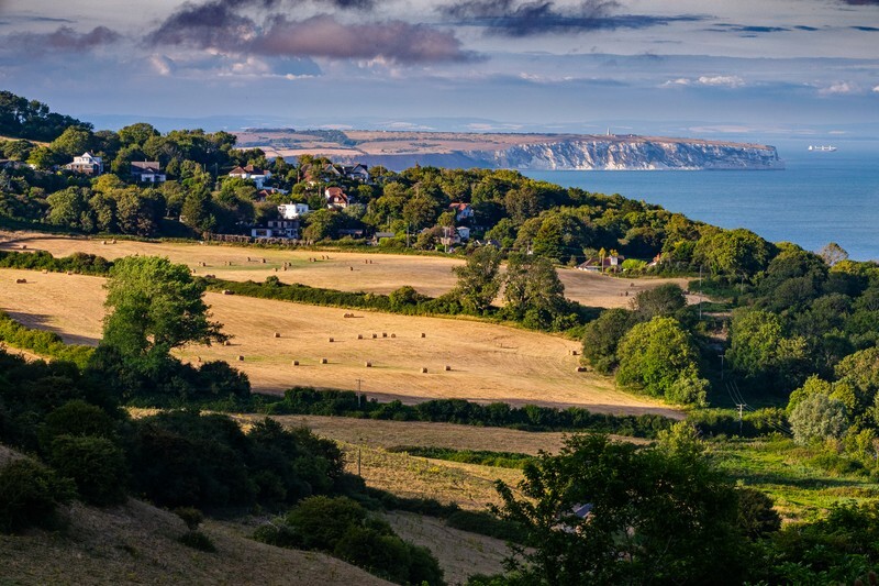 z4404 Summer Bales, Luccombe - Latest images