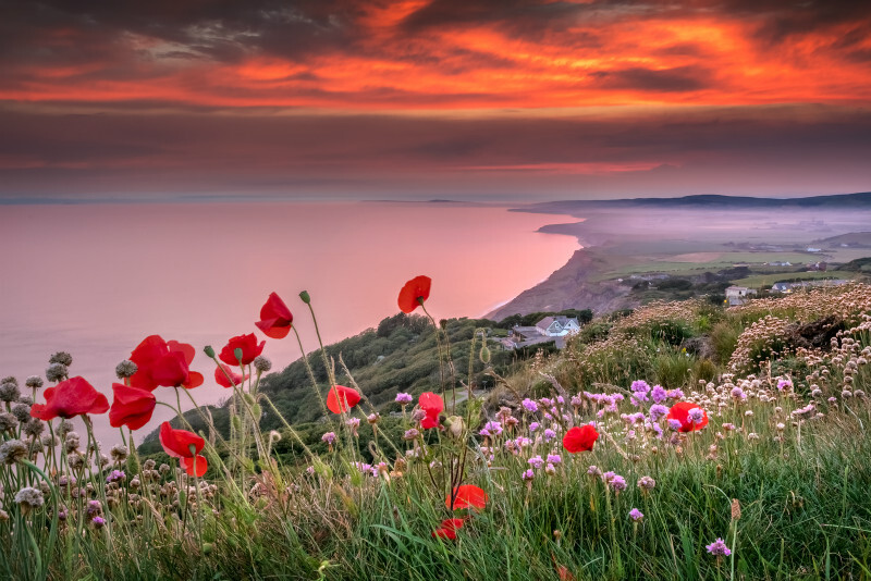 z3464 Summer Sunset overlooking the Islands West Coast - Blackgang to Compton inc Brighstone, Shorwell & West Wight