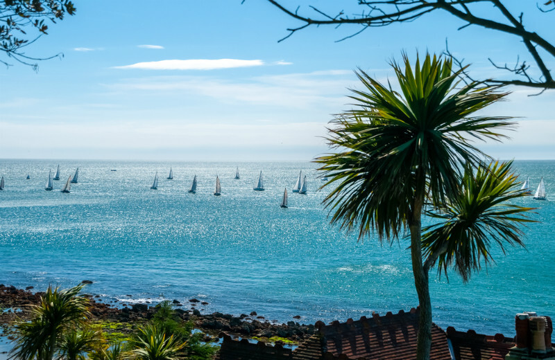 z3637 Yachts from Steephill Cove - Ventnor to St Catherine's inc Bonchurch, Whitwell & the Undercliff