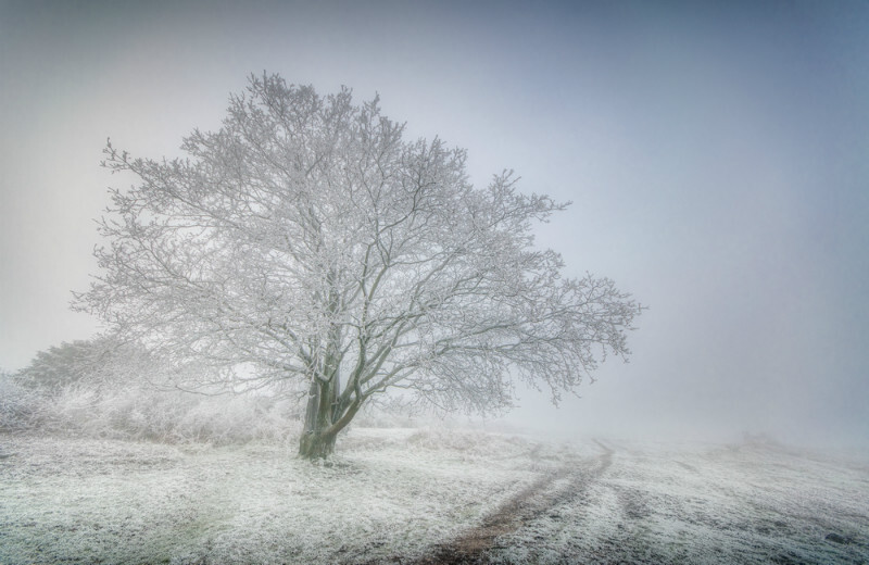 z3717 Mists and Rime, Ventnor Down - Ventnor to St Catherine's inc Bonchurch, Whitwell & the Undercliff