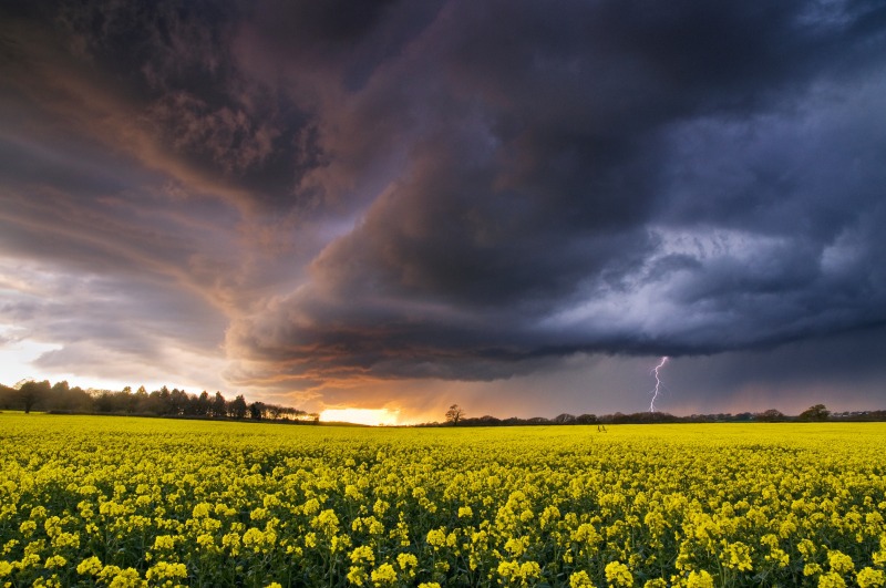 z2077 Evening Storm over Ashey - The