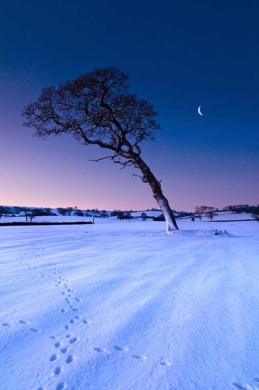 z1743 Snowy Dawn, Ashey - East Cowes to Ryde inc Haventstreet, Ashey, Wooton & Binstead