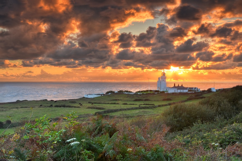 z2547 Autumn Glow, St Catherine's Lighthouse - Ventnor to St Catherine's inc Bonchurch, Whitwell & the Undercliff