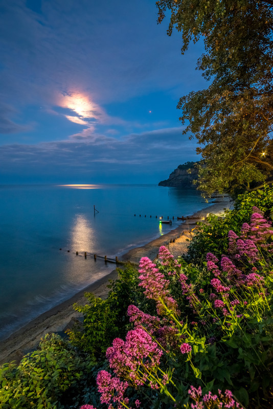 z2922 Midsummer Moon, Shanklin - Sandown, Shanklin, Luccombe and Wroxall