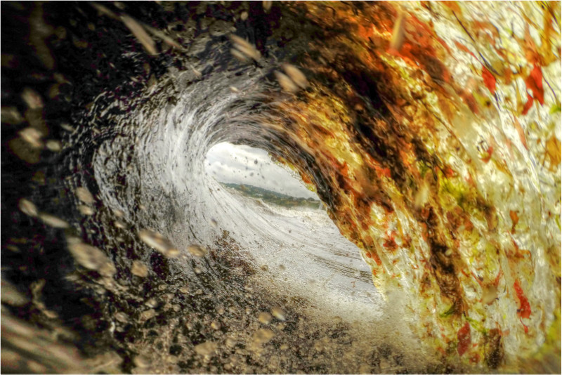 w011 Seaweed Wave, Shanklin Beach - The
