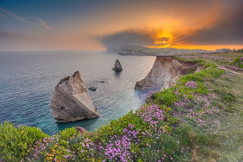z4432 Thrift Sunset Freshwater Bay - Latest images