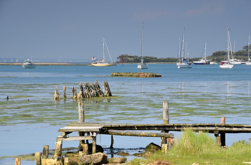z2408 Summer Evening, Newtown Creek - Yarmouth to West Cowes inc Newtown