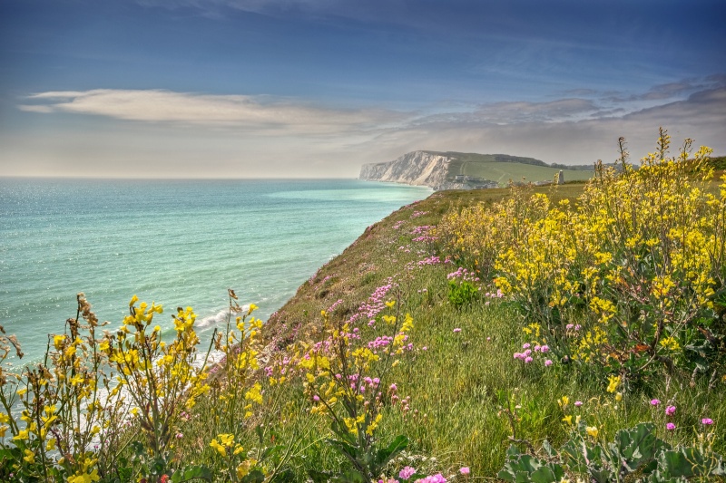 z2714 Spring Colours Freshwater - Freshwater Bay to Colwell Bay inc the Needles