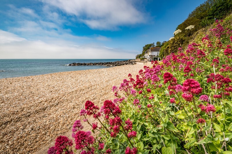 z3803 Bonchurch and Monks Bay - Ventnor to St Catherine's inc Bonchurch, Whitwell & the Undercliff