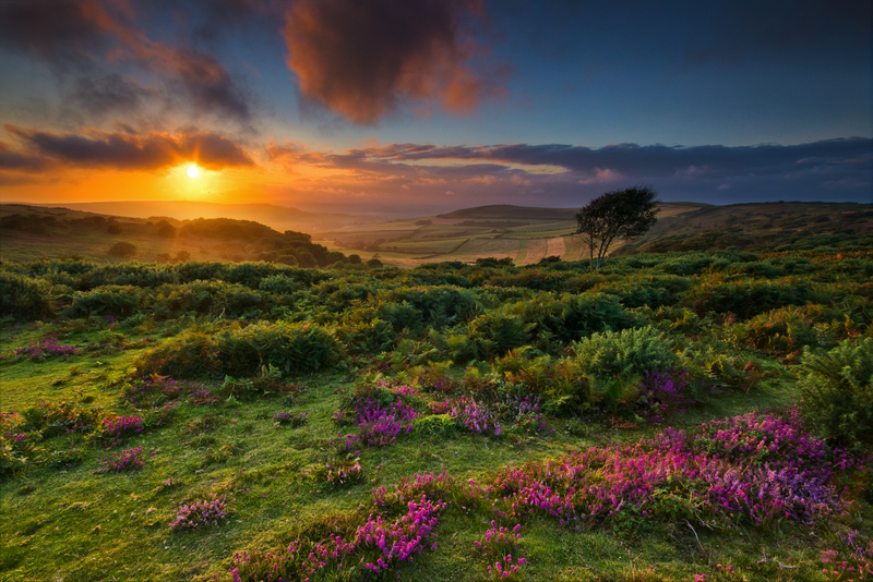 z1699 Sunset, Ventnor Down - Ventnor to St Catherine's inc Bonchurch, Whitwell & the Undercliff