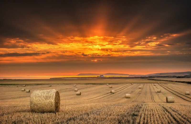 z3663 Bales at Sunset, Atherfield - Blackgang to Compton inc Brighstone, Shorwell & West Wight