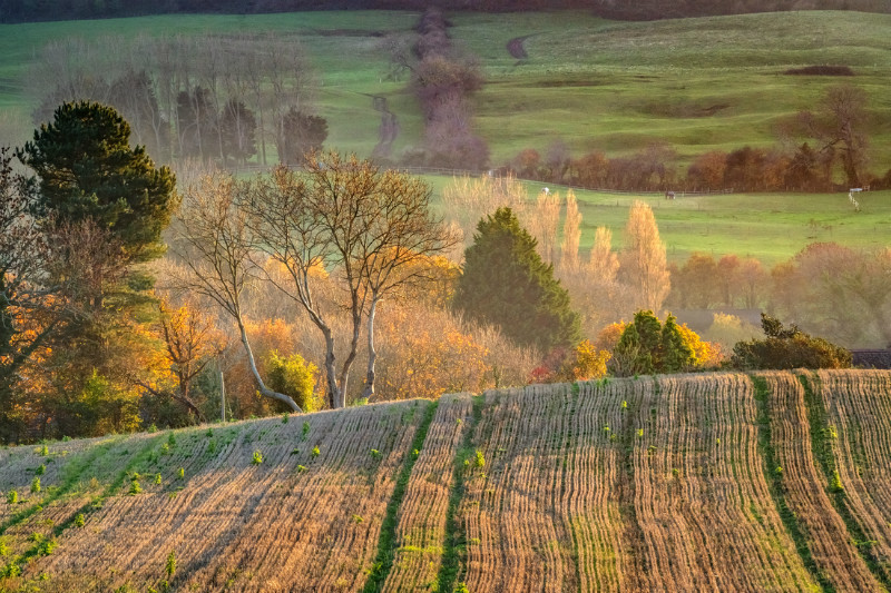 z3343 An Autumn Landscape, Shanklin - Sandown, Shanklin, Luccombe and Wroxall