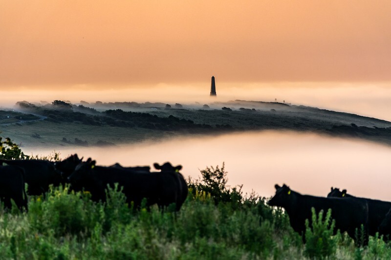 z4286 Morning Mists over Culver Down - Seaview to Bembridge, Whitecliff Bay and Brading