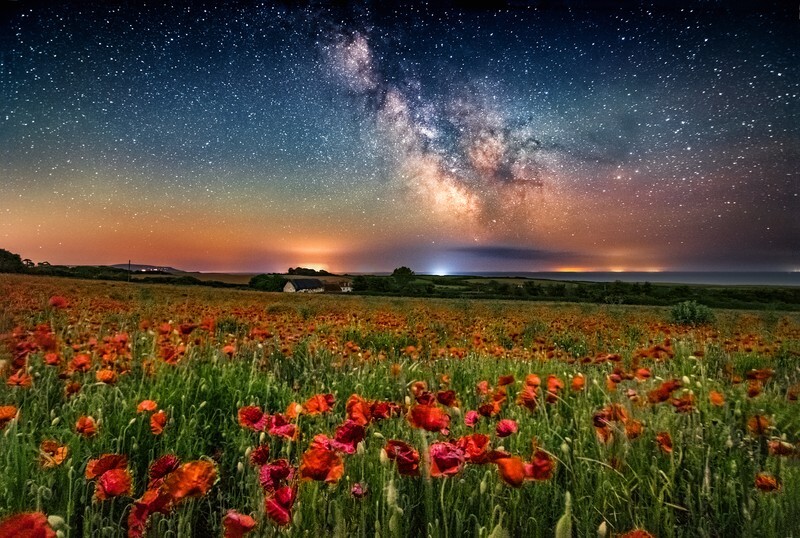 z4274 Poppyfield Milky Way Mottistone - Blackgang to Compton inc Brighstone, Shorwell & West Wight