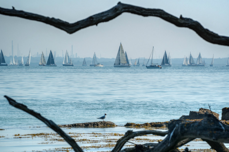 z3233 Round the Island Race, Bouldnor - Yarmouth to West Cowes inc Newtown