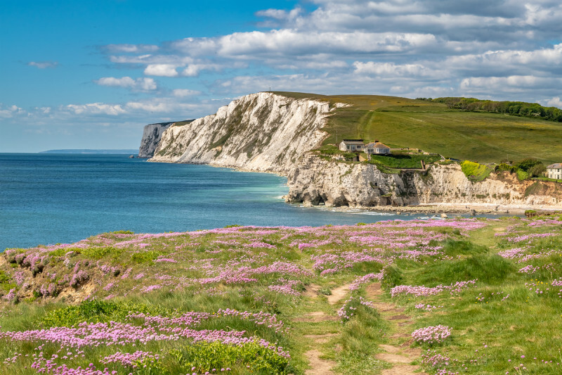 z3623 Colours of Spring, Tennyson Down - Freshwater Bay to Colwell Bay inc the Needles