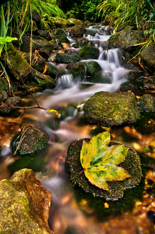 z1465 Bonchurch Stream - Ventnor to St Catherine's inc Bonchurch, Whitwell & the Undercliff