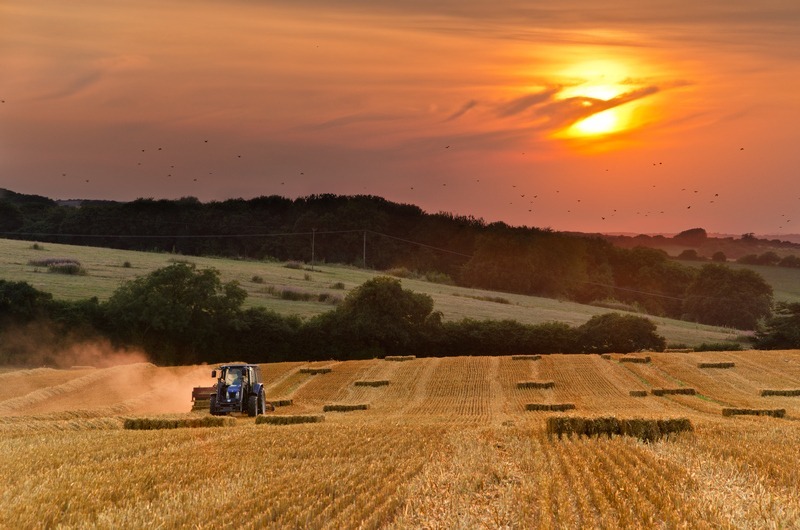 z2255 Evening Harvest, Arreton - The Inner Island inc Newport & Godshill