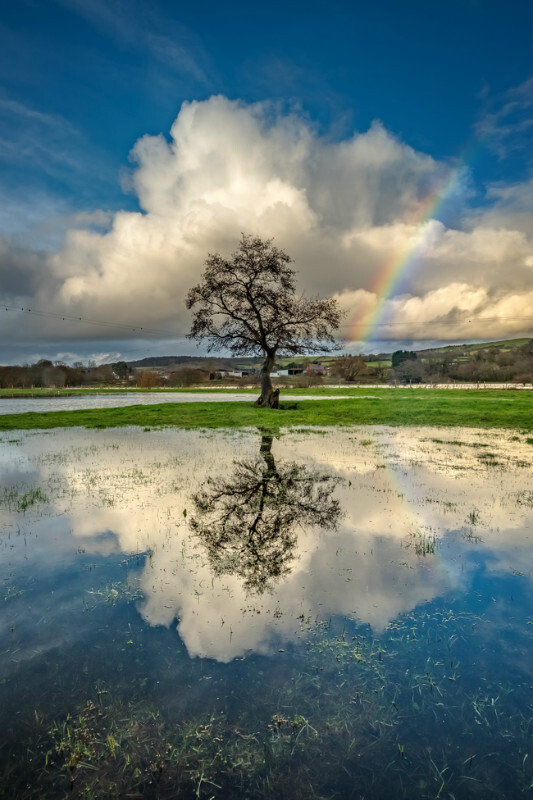 z3559 Reflections in the Flood, Alverstone - The Inner Island inc Newport & Godshill
