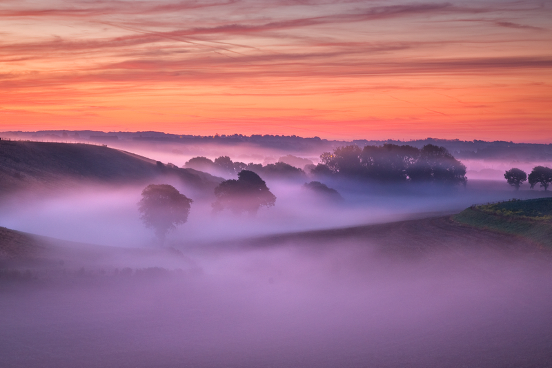 z1698 Dawn Mist, Arreton - The Inner Island inc Newport & Godshill