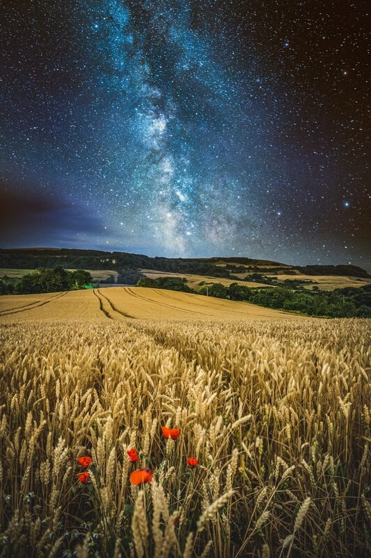 z3245 Wheatfield Poppies under the Stars, Shanklin - Sandown, Shanklin, Luccombe and Wroxall