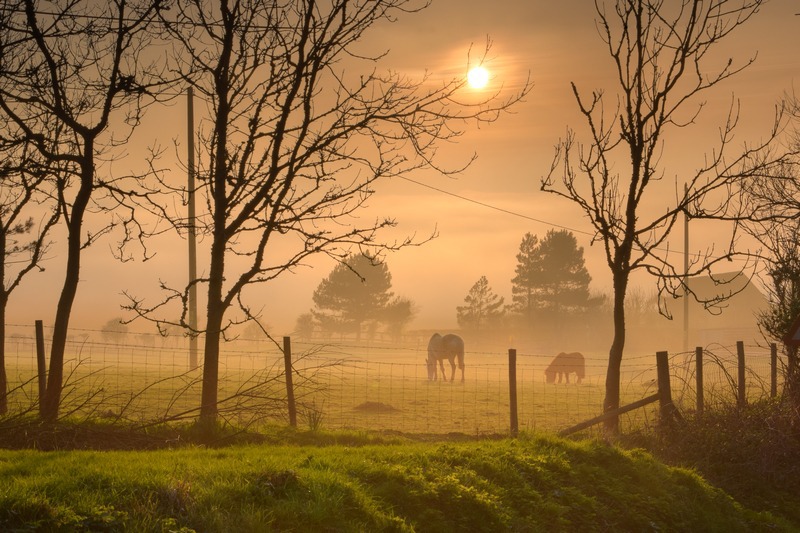 z2352 Evening Mist, Chale - Blackgang to Compton inc Brighstone, Shorwell & West Wight