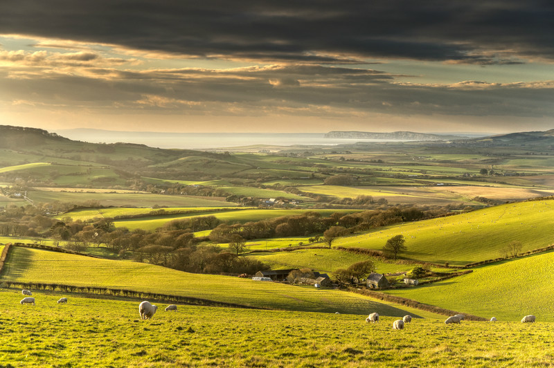 z2161 Evening View from Wroxall Down - Sandown, Shanklin, Luccombe and Wroxall