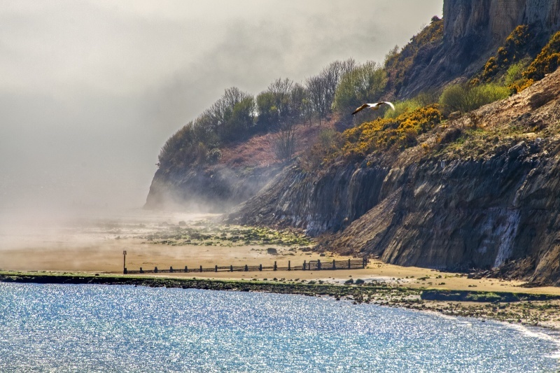 z2669 Sea Mist, Luccombe Beach - Sandown, Shanklin, Luccombe and Wroxall