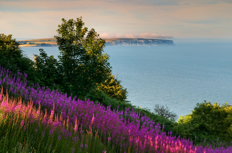 z1880 Culver View from Shanklin - Sandown, Shanklin, Luccombe and Wroxall