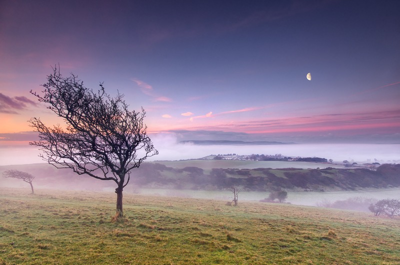 z2322 Morning Mist, Culver Down - Sandown, Shanklin, Luccombe and Wroxall