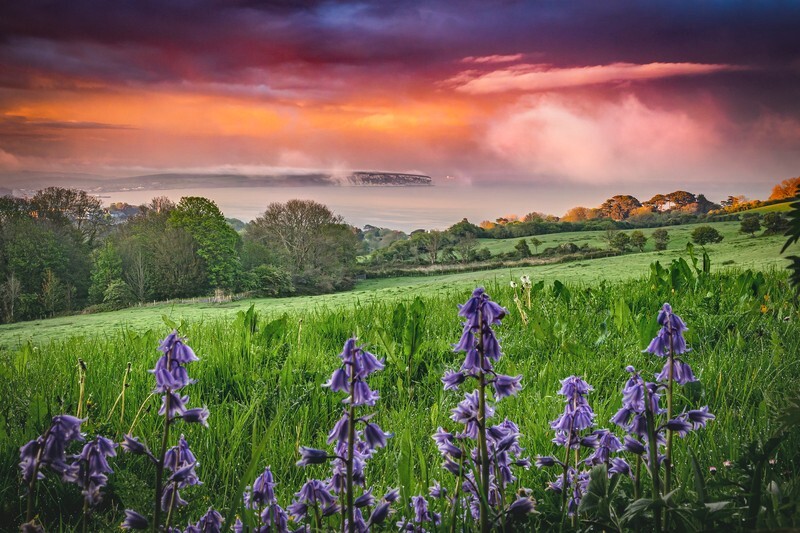 z4251 Misty Evening Light over Sandown Bay - Sandown, Shanklin, Luccombe and Wroxall