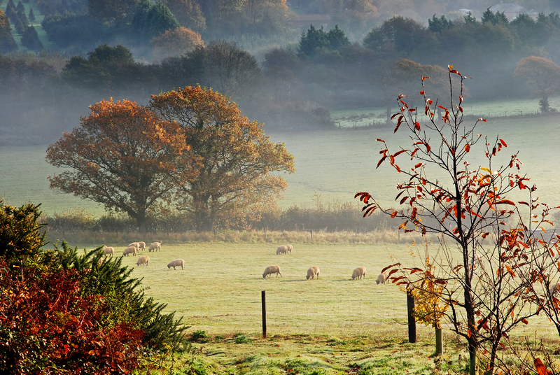z1179 Misty Sunrise, Blackwater - The Inner Island inc Newport & Godshill