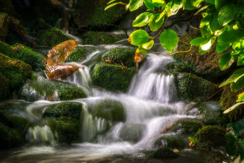z2819 Bonchurch Stream - Ventnor to St Catherine's inc Bonchurch, Whitwell & the Undercliff