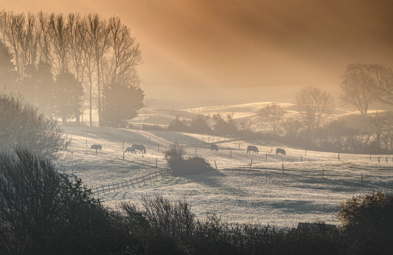 z3709 Winter Light, Shanklin Down - Sandown, Shanklin, Luccombe and Wroxall