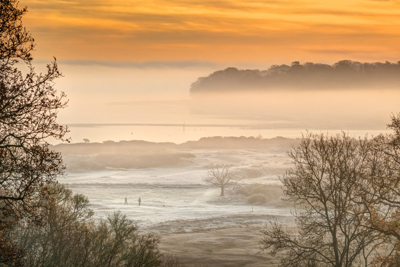 z3156 Misty Duver St Helens - Seaview to Bembridge, Whitecliff Bay and Brading