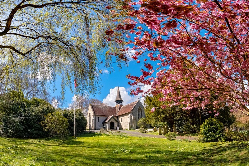 z4433 Spring Colours at St Blasius Shanklin - Latest images