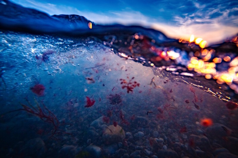 z3791 Underwater Blues - The