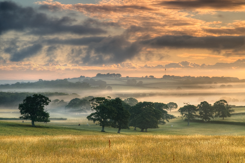 z1885 Morning Mist over Ashey - East Cowes to Ryde inc Haventstreet, Ashey, Wooton & Binstead