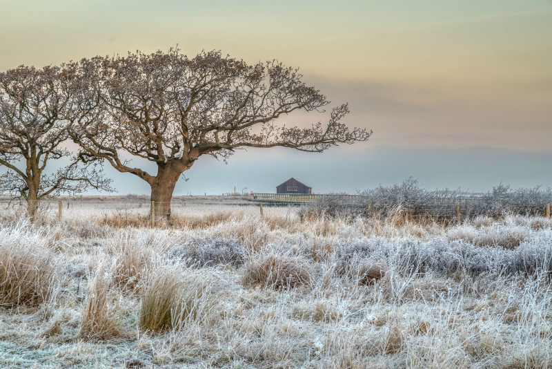 z3034 Frosty Dawn, Newtown Creek - Yarmouth to West Cowes inc Newtown