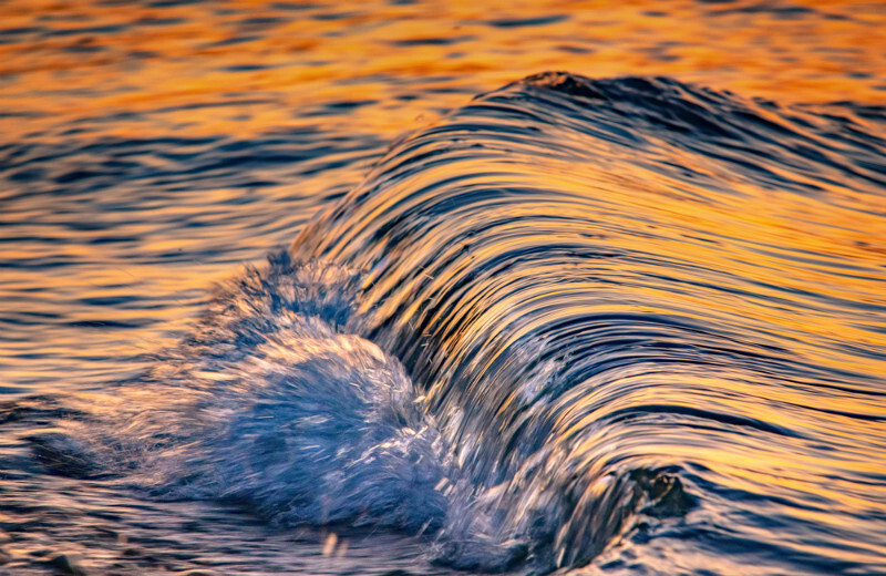 z3648 Abstract Wavelet - The
