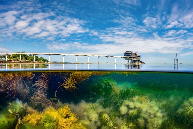 z3905 Above and Below, Bembridge Reef - Seaview to Bembridge, Whitecliff Bay and Brading
