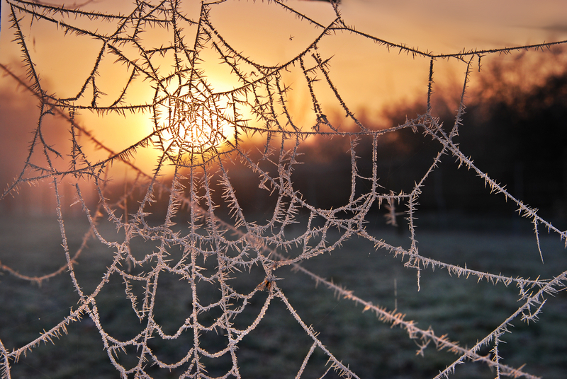 z1192 Ice Web, Havenstreet - East Cowes to Ryde inc Haventstreet, Ashey, Wooton & Binstead