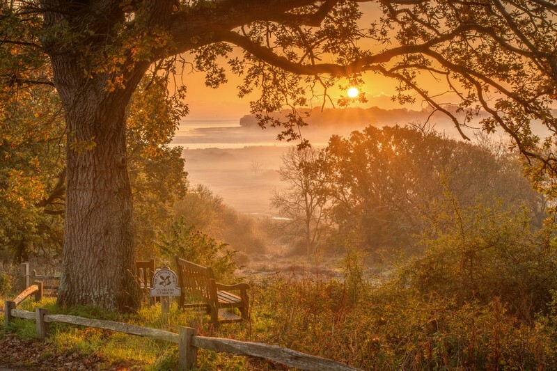 z3945 Autumn Sunrise over the Duver - Seaview to Bembridge, Whitecliff Bay and Brading