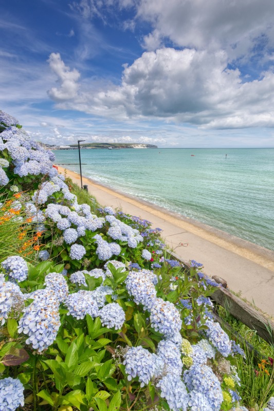 z2457 A Summers Day in Sandown Bay - Sandown, Shanklin, Luccombe and Wroxall